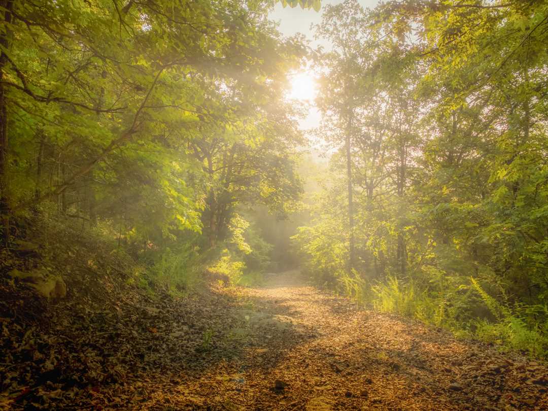 Allin Sorenson Art Photograher - sunrise on the lake trail.